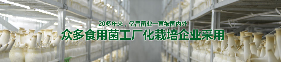 20多年來，億昌菌業一直被國(guó)内外衆多食用菌工廠化栽培企業采用