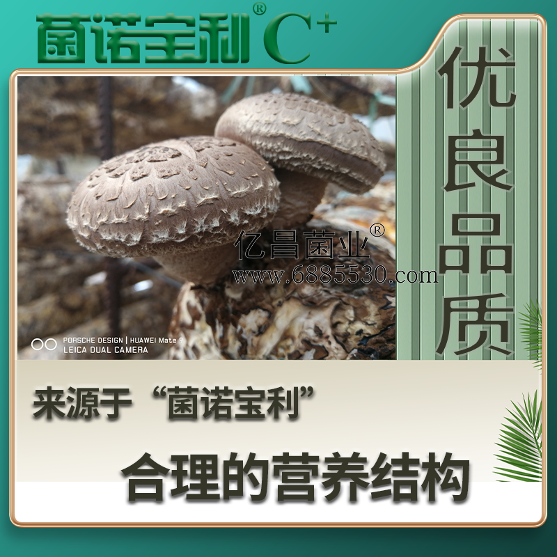 億昌菌業菌諾寶利C+：注水C+（網頁版）PC-4（優良品質，來自于“菌諾寶利”合理的營養結構）.png