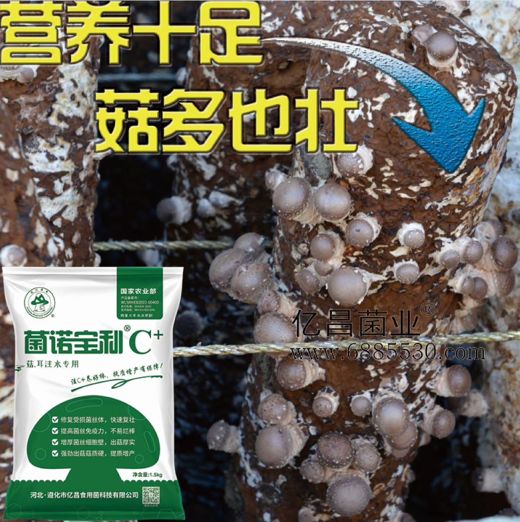 億昌菌業菌諾寶利C+：注水C+（網頁版）PC-7）.jpg