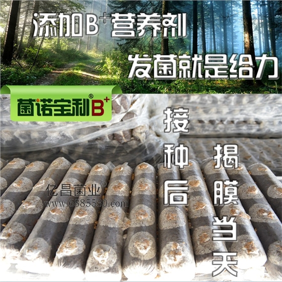 億昌菌業菌諾寶利B+（網頁-15）添加B+營養劑，發(fā)菌就(jiù)是給力