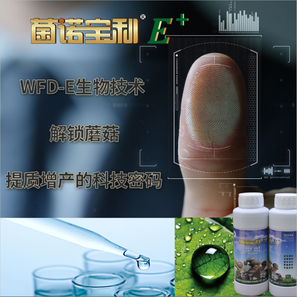 菌諾寶利E+：WFD-E生物技術，解鎖蘑菇提質增産的科技密碼