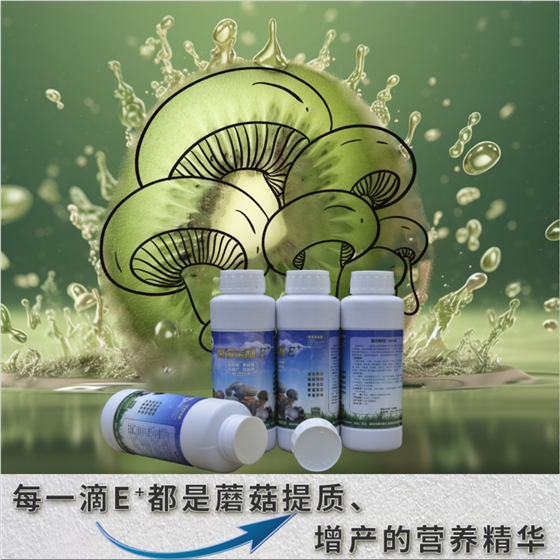 菌諾寶利E+（網頁-11）每一滴E+都(dōu)是蘑菇長(cháng)大、長(cháng)厚的營養精華