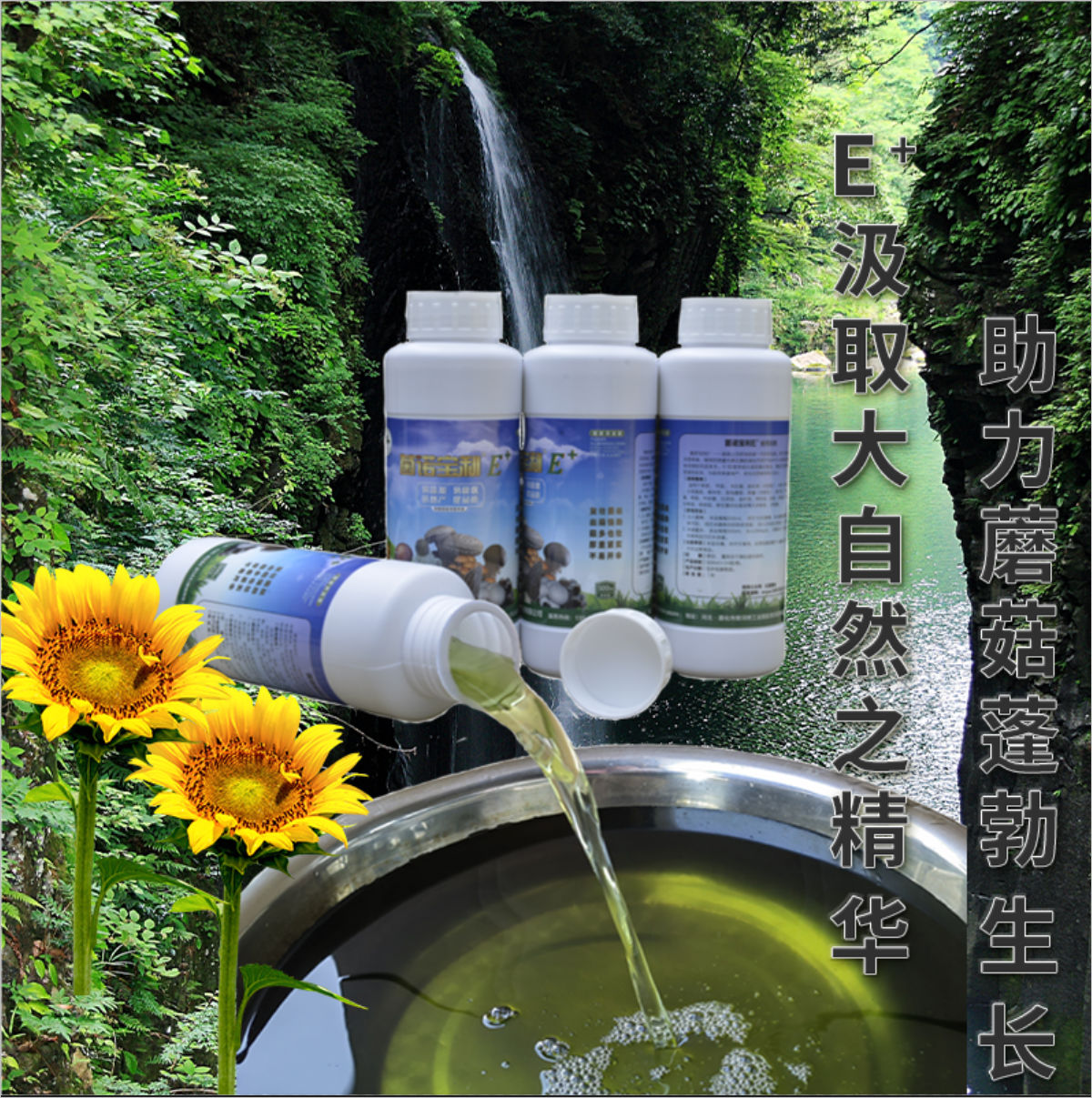 菌諾寶利E+（網頁-12）E+汲取大自然之精華，助力蘑菇蓬勃生長(cháng)